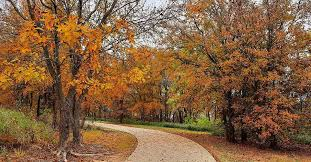 Trees sweeping over Cottonwood Nature Trail and changing colors in the fall