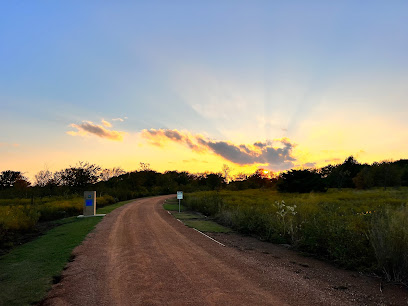 The sun setting over the trees over Lakefront Trail