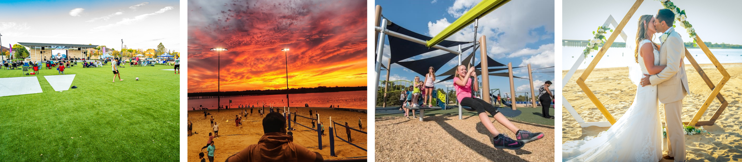 Four pictures of little elm